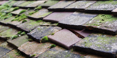Chartridge roof repair costs
